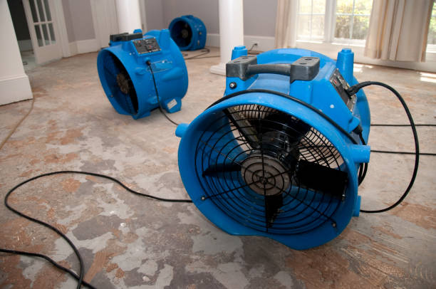 Best Flood damage cleanup  in Osage Beach, MO