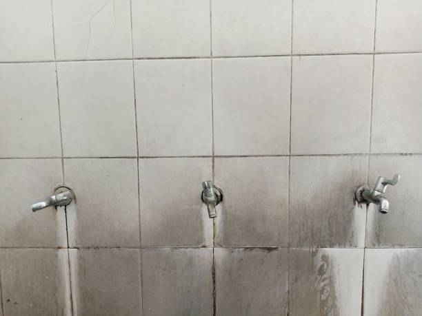 Best Emergency water extraction  in Osage Beach, MO
