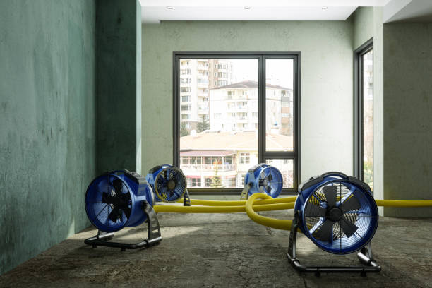 Best 24/7 water damage repair  in Osage Beach, MO