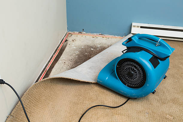 Best Basement water damage restoration  in Osage Beach, MO